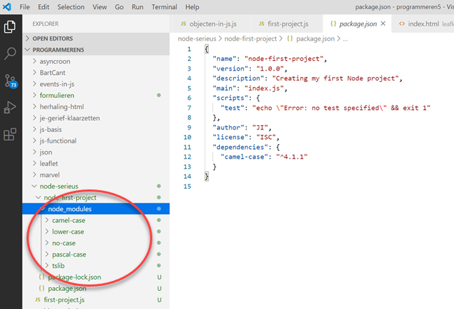 camel-cade dependency installed in Viual Code
